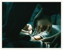 Slider image (10) Centro M